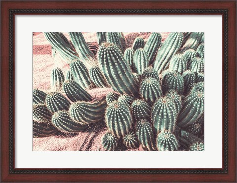 Framed Cactus Muted Burst Print