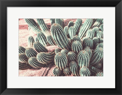Framed Cactus Muted Burst Print