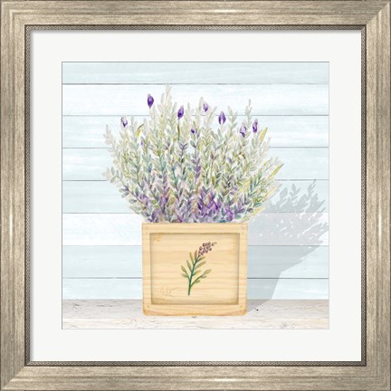 Framed Lavender and Wood Square III Print