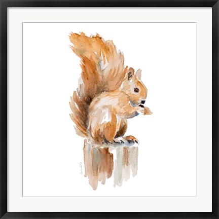 Framed Watercolor Squirrel Print