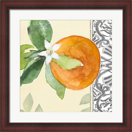 Framed Orange Blossoms I Print
