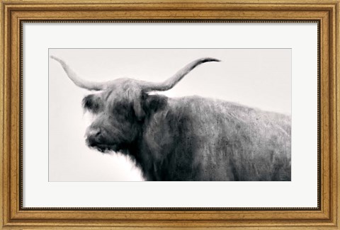 Framed Vintage Bull Print