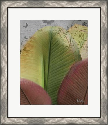 Framed Butterfly Palm I Print