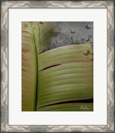 Framed Butterfly Palm II Print