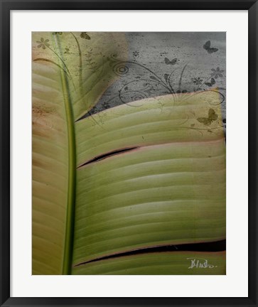 Framed Butterfly Palm II Print