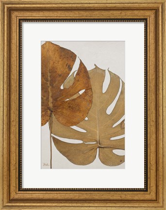 Framed Dry Balazo II Print