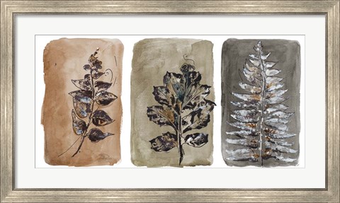 Framed Watercolor Sepia Leaves II Print