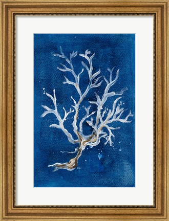 Framed White Corals I Print