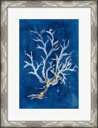 Framed White Corals I Print