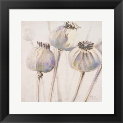 Framed Poppy Seeds I Print