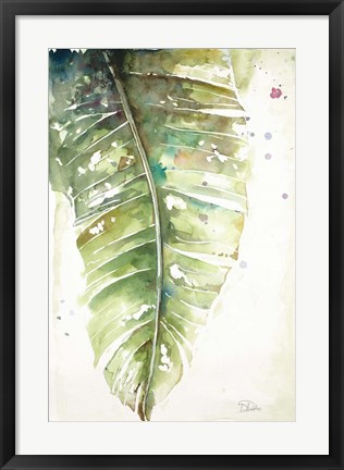 Framed Watercolor Plantain Leaves I Print