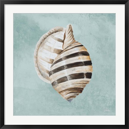 Framed Modern Shell on Teal I Print