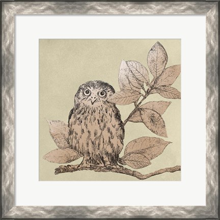 Framed Neutral Little Owls I Print