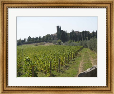 Framed Tuscany 1 Print