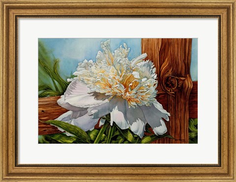 Framed White Flower Print