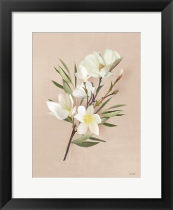 Framed Spring Magnolias Print