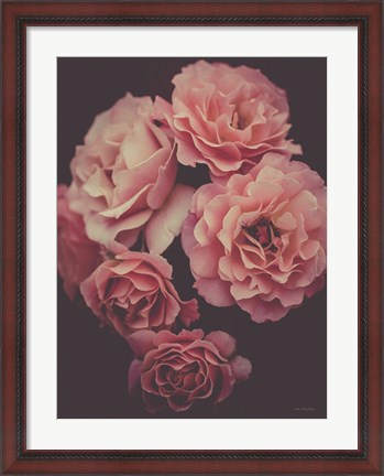 Framed Dreamy Roses Print