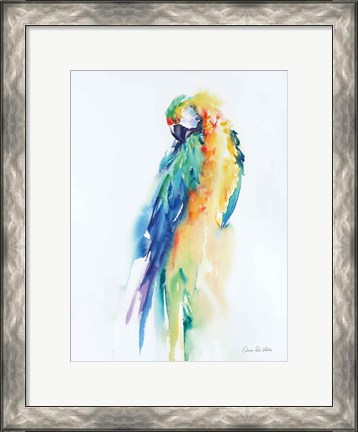 Framed Colorful Parrots II Print