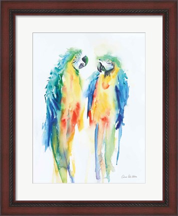 Framed Colorful Parrots I Print
