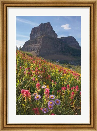 Framed Boulder Pass Wildflowers Print
