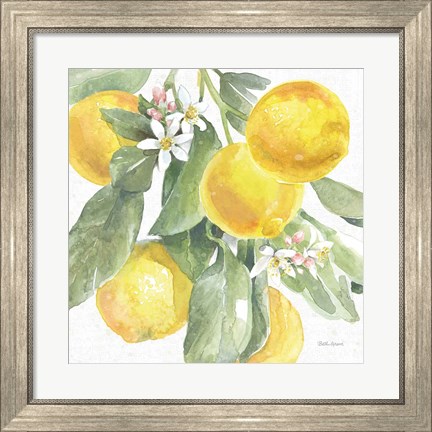Framed Citrus Charm Lemons II Print