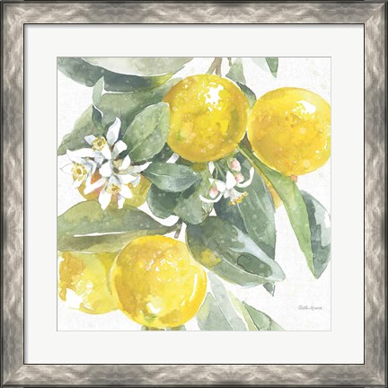 Framed Citrus Charm Lemons I Print