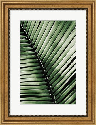 Framed Palm Frond I Green Print