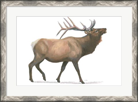 Framed Northern Wild III Print