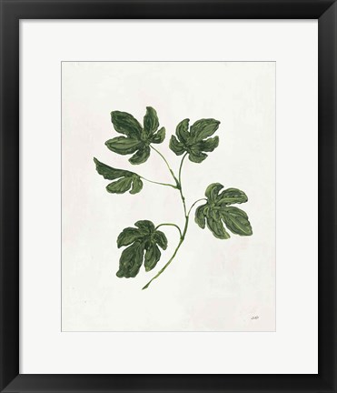 Framed Botanical Study III Greenery Print