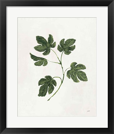 Framed Botanical Study III Greenery Print