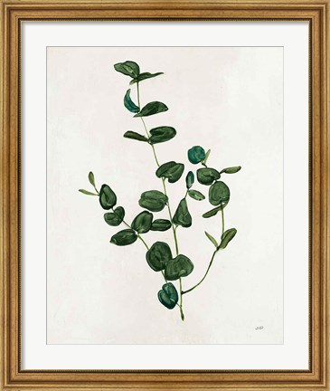 Framed Botanical Study II Greenery Print