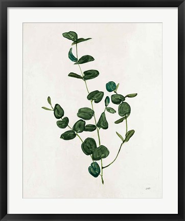 Framed Botanical Study II Greenery Print