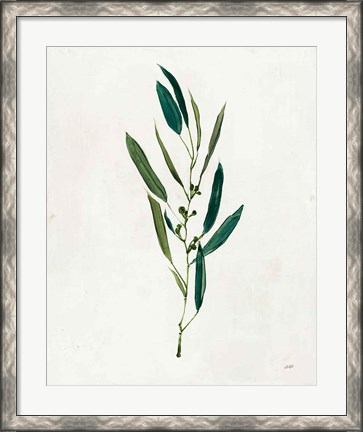 Framed Botanical Study I Greenery Print