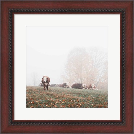Framed Misty Pasture Print