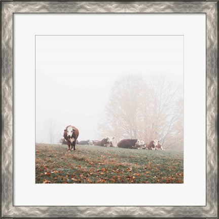 Framed Misty Pasture Print