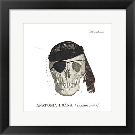 Framed Dandy Bones VI Pirate Print