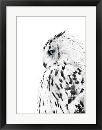 Framed White Owl Print