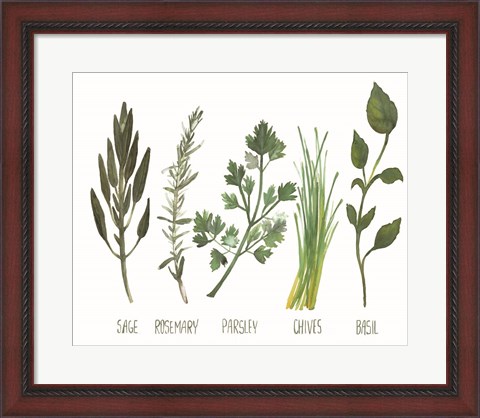 Framed Watercolor Herbs Print