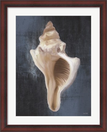 Framed Conch Shell Blues II Print