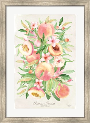 Framed Peach Bouquet Print