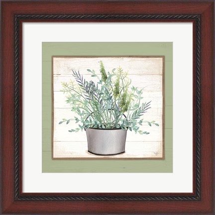 Framed Pot of Herbs II Print