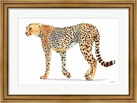 Framed Wild and Free VII Bold Print
