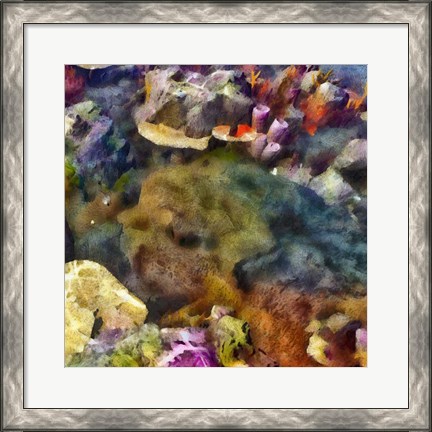 Framed Sea Life IV Print