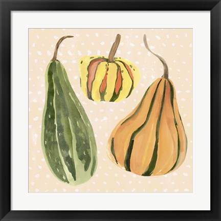 Framed Decorative Gourd II Print