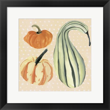 Framed Decorative Gourd III Print