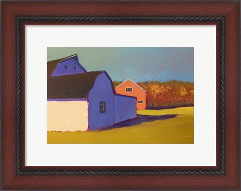 Framed Bucolic Structure VII Print