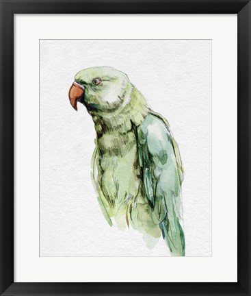Framed Bright Parrot Portrait I Print