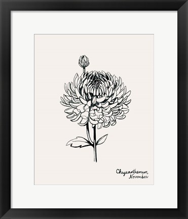 Framed Annual Flowers XI Print