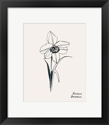 Framed Annual Flowers XII Print