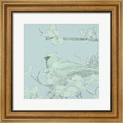 Framed Backyard Bird Sketch II Print